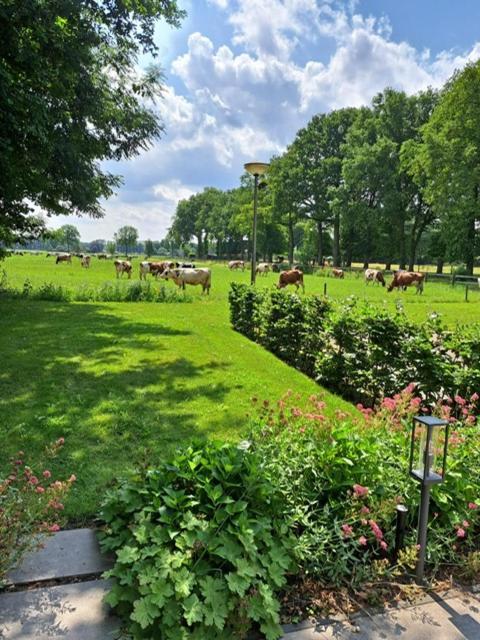 Het Broekeroord Bed & Breakfast Wezep Dış mekan fotoğraf